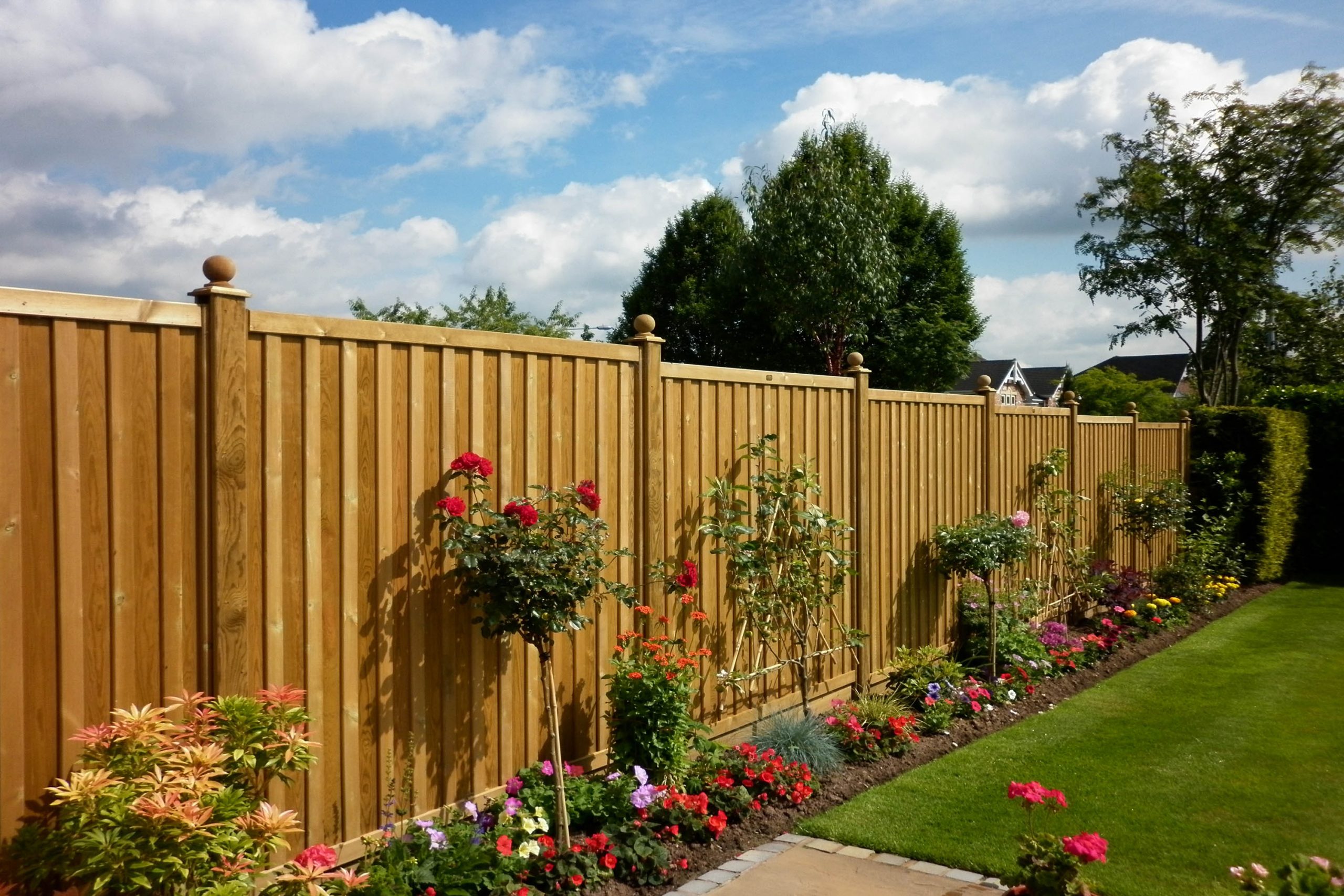 Garden 3